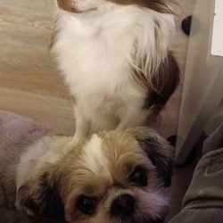 IMG_20221104_192054_200