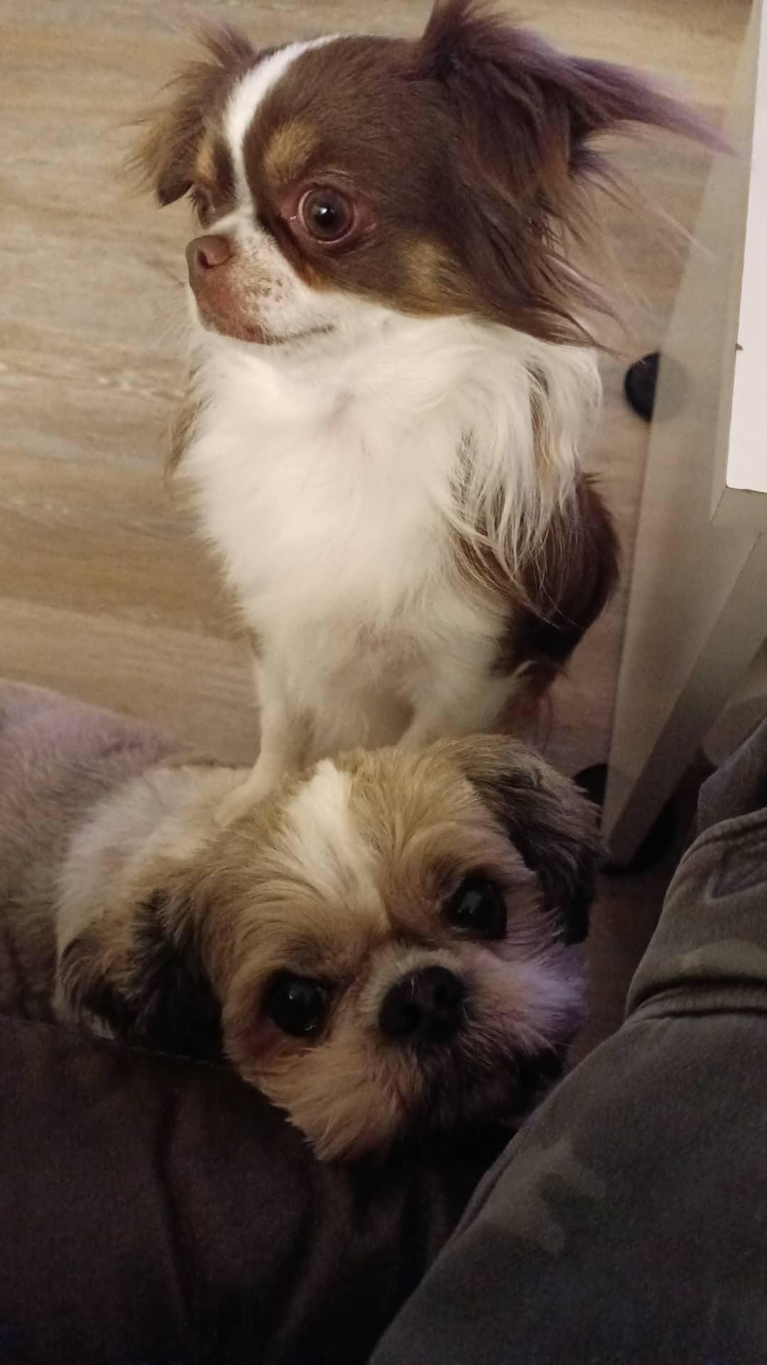 IMG_20221104_192054_200