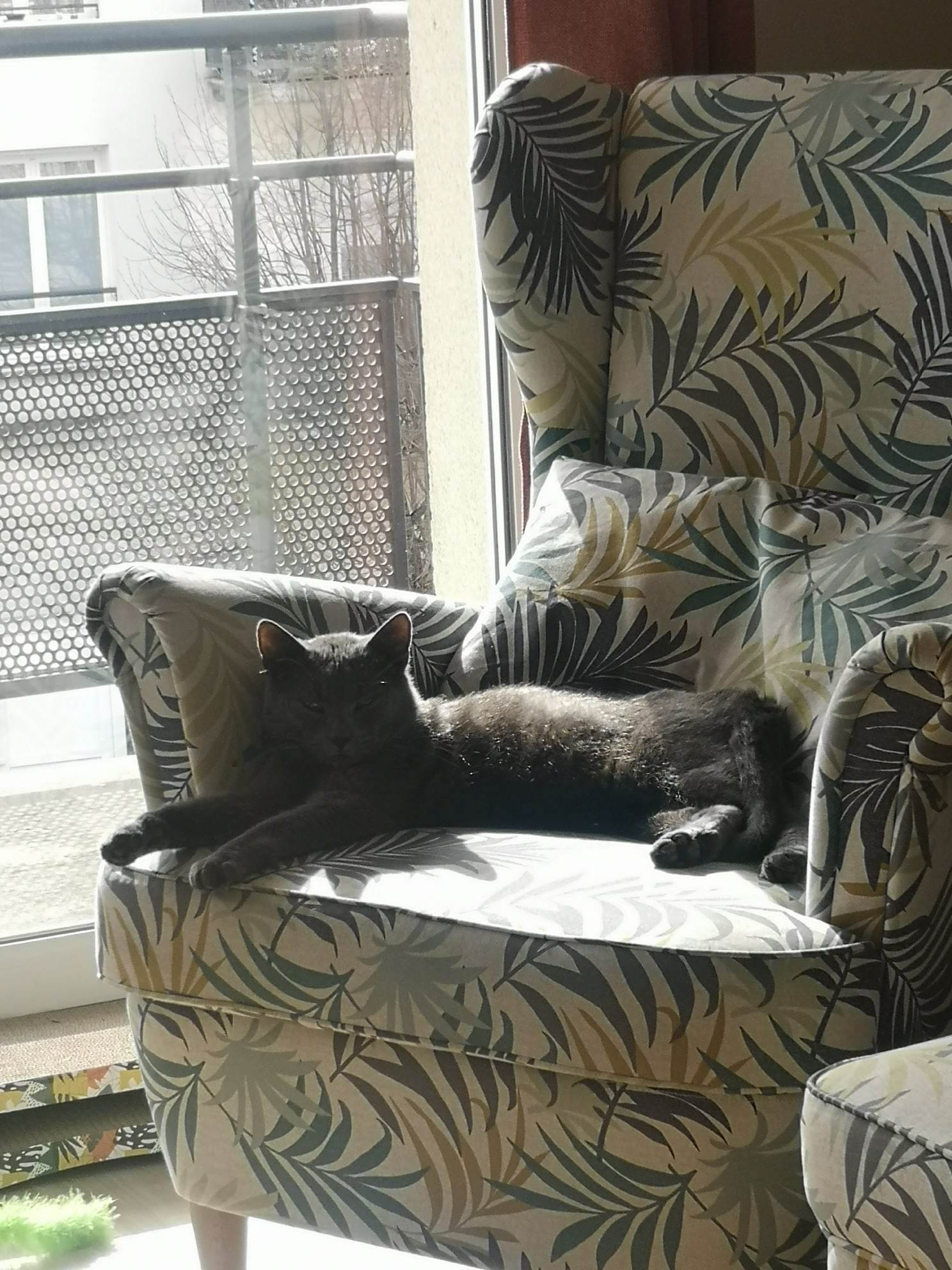 9db92fd9-5c9a-41f6-adba-940ea98013db